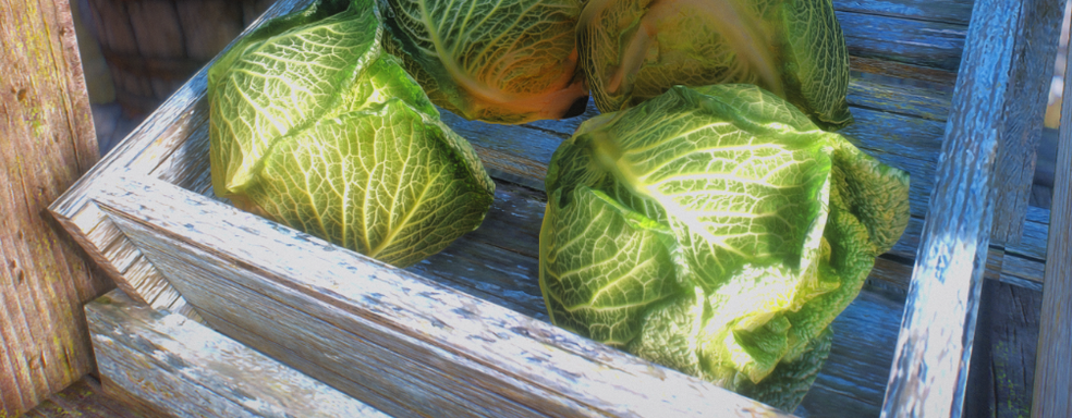 В Skyrim появилась некстген капуста. Представлены ультра реалистичные кочаны