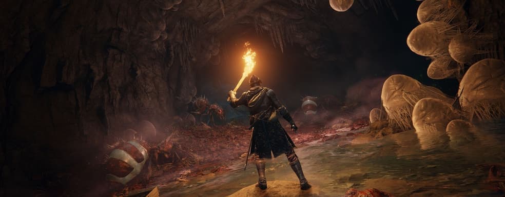 Участники сетевого теста Elden Ring видели чуть больше одной десятой от всей карты игры. Без учета подземелий