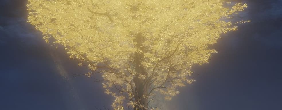 Фанаты Elden Ring считают Древо Эрд «рождественской ёлкой» из-за сходства с деревом из Австралии