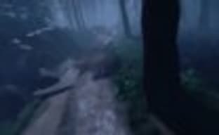 Дебютный трейлер Without Memory