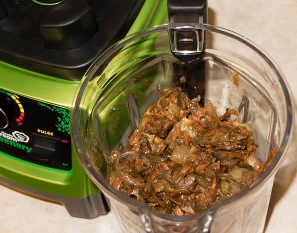 Стационарный блендер Rawmid BDG-03