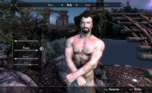 Ведьмак появился в Skyrim. Фанат добавил новую расу