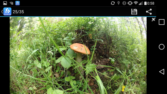 Экшн-камера Olympus TG-Tracker