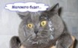 Котик об Xbox Live