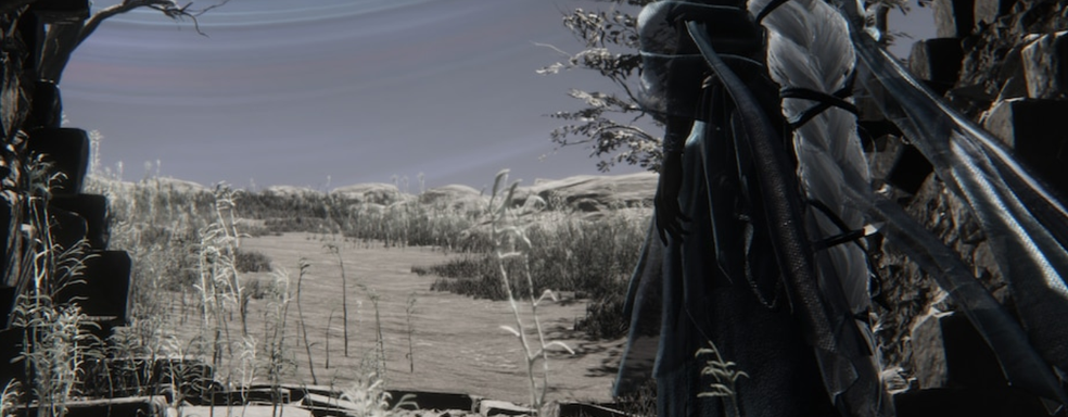 Игрок Elden Ring Nightreign собрал билд, превративший игру в аналог Vampire Survivors