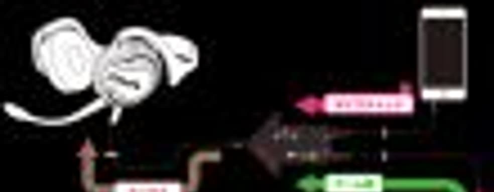 Nintendo продолжает удивлять странными решениями, связанными с реализацией голосового общения в играх для Switch