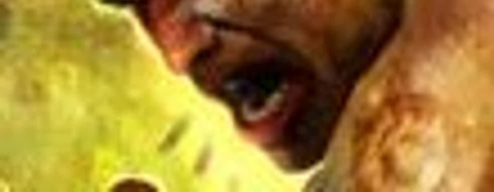 Namco Bandai намекает на сиквел Enslaved