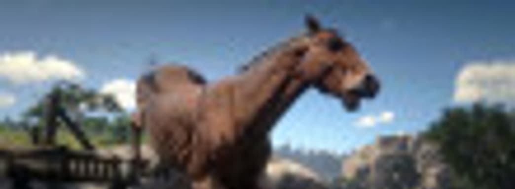 Кобылы в Red Dead Online обзавелись яичками