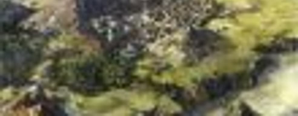 Дизайнер Civilization 3 и Civilization 4 анонсировал новый проект