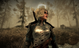 В Вайтране из Skyrim безработица выше, чем в США и Британии вместе взятых. Игрок провёл социологическое исследование