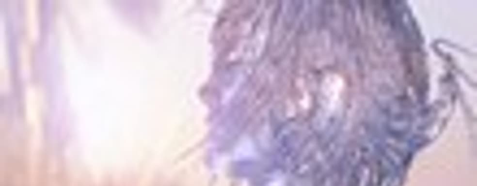 Final Fantasy XIII-2: трейлер с комментариями