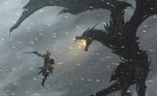 Энтузиаст создал мод, который запрещает играть в Skyrim. Его удалили и теперь за возвращение борются поклонники