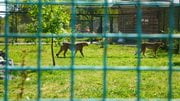 Видеосъемка фотоаппаратом Panasonic DMC-G7