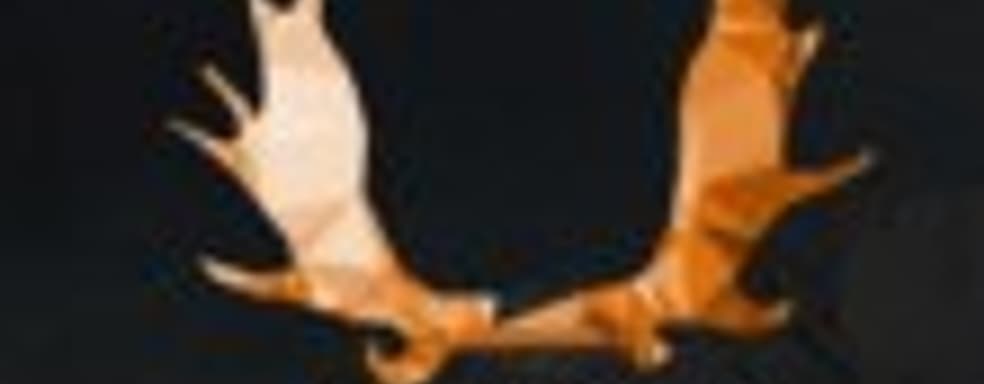 Создатель Assassin’s Creed представил игру Ancestors: The Humankind Odyssey