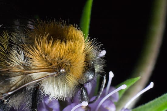 Внешняя вспышка на держателе