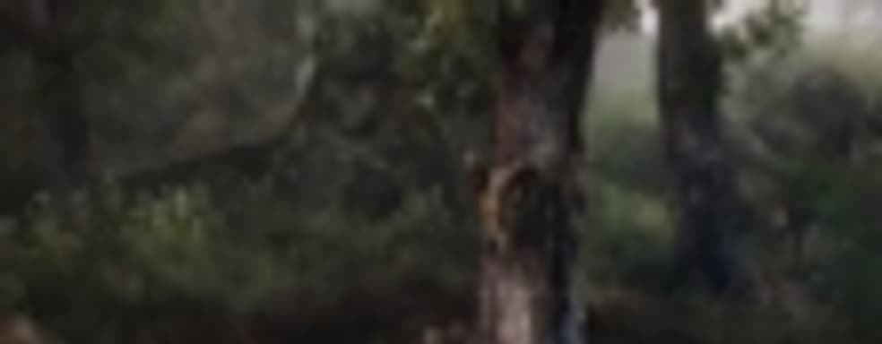 Разработка версии The Vanishing of Ethan Carter для PS4 еще не стартовала