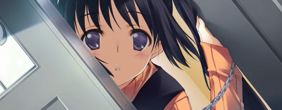 Японские разработчики Leaf и Key рассказали, как приходилось убирать покачивание женской груди для релиза и высказались о модерации в Steam