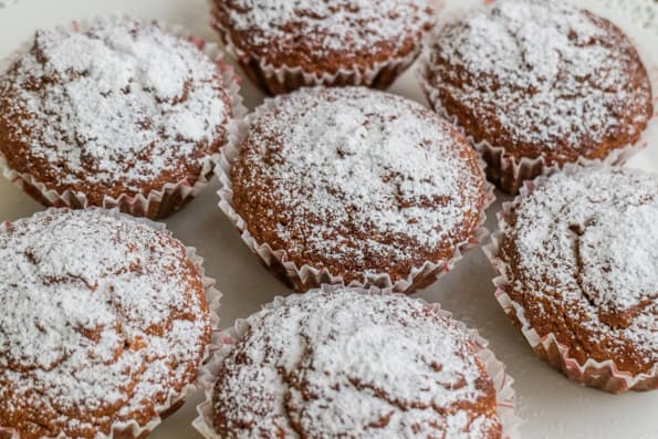 Двухшнековая горизонтальная соковыжималка Omega TWN32R