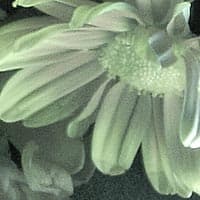 фрагмент, УФ лампа, ночной режим