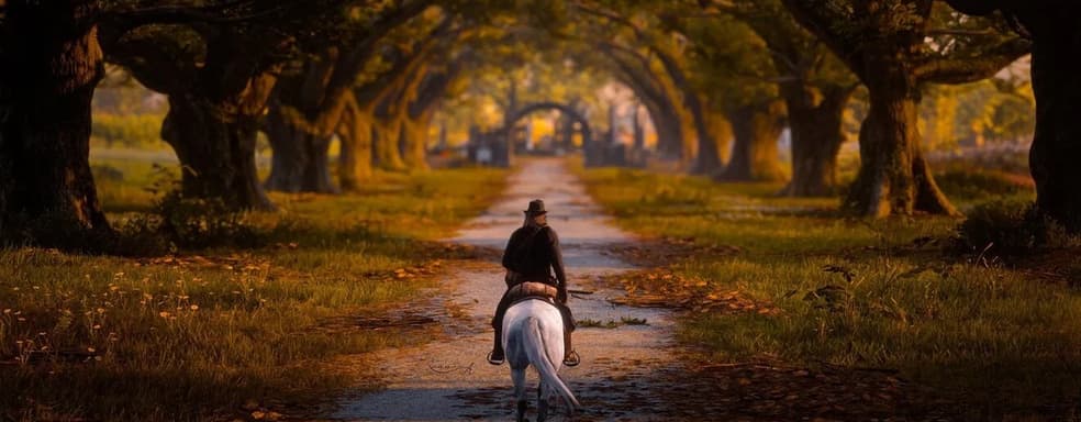 Обновление сайта Rockstar намекнуло на версию следующего поколения RDR2