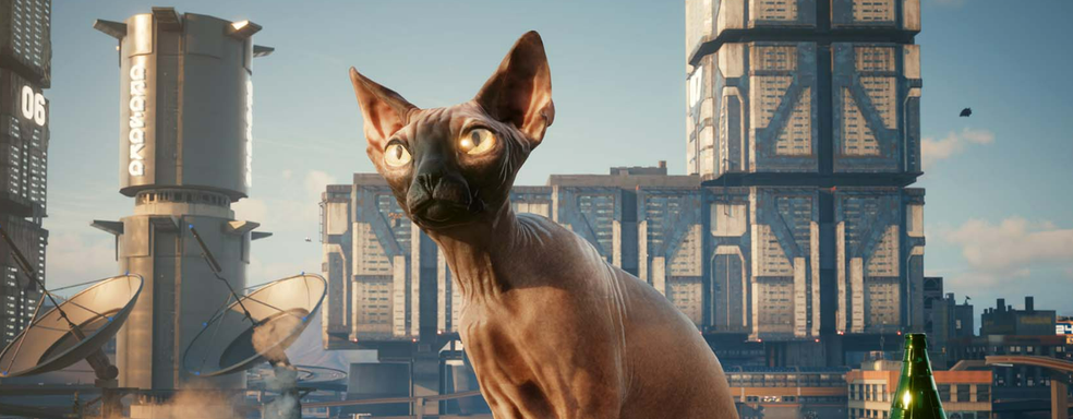 CD Projekt запустила конкурс для игроков Cyberpunk 2077: необходимо делать замуррчательные скриншоты котика
