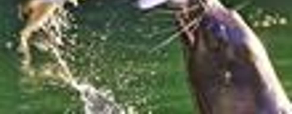 Слух: Microsoft может купить Take-Two