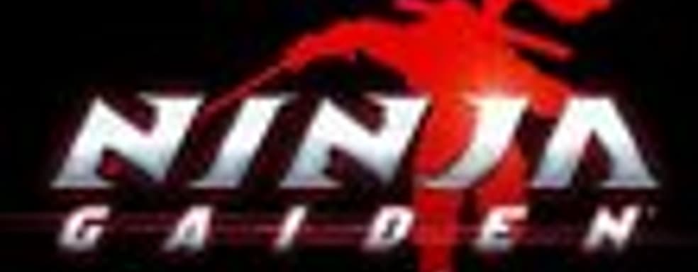 Ninja Gaiden Dragon Sword и Dark Sector в продаже