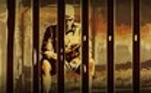 Трейлер Supremacy MMA