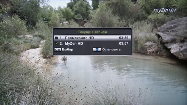 onlime ТВ запись с двух каналов