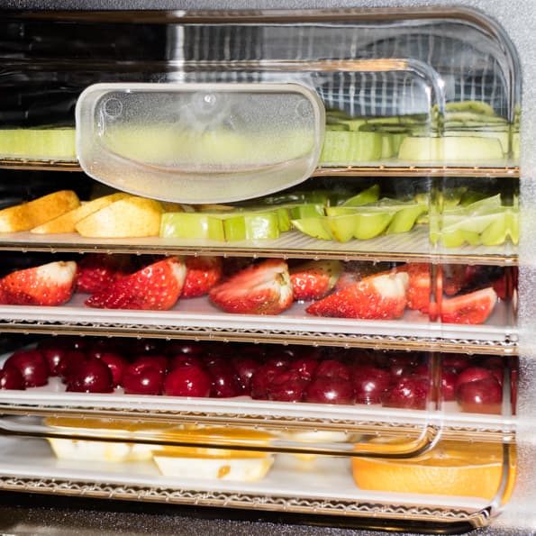 Дегидратор Rawmid DDV-06/07