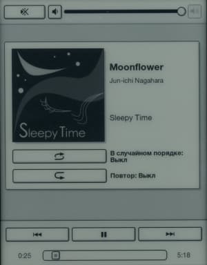 Электронная книга Sony Reader PRS-T1 - проигрыватель