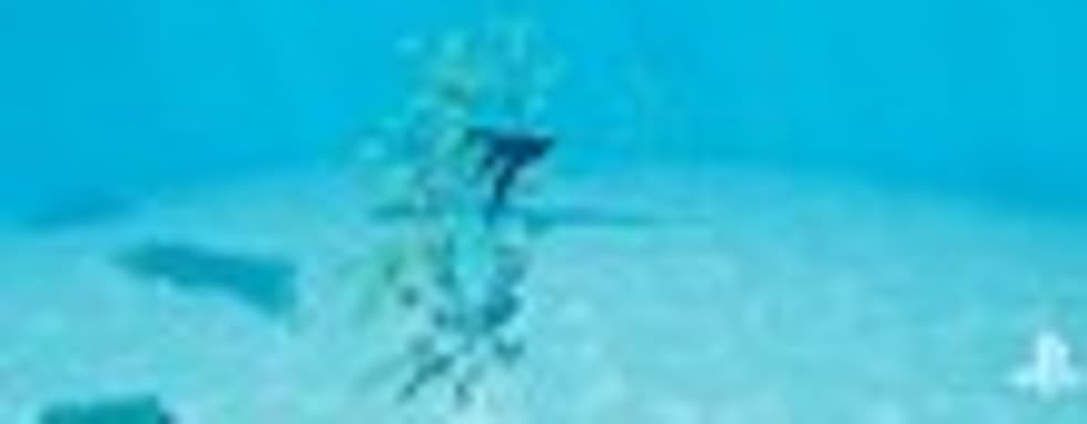 E3-демонстрация Abzu