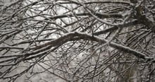 Видеосъемка фотоаппаратом. Panasonic DMC-GH4
