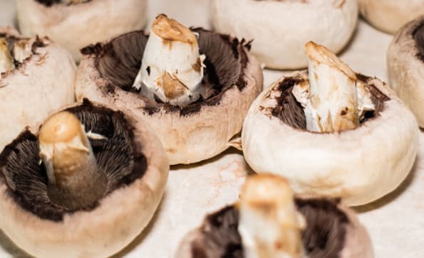 Дегидратор Rawmid DDV-06/07