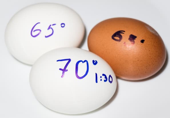 су-вид Steba SV 50