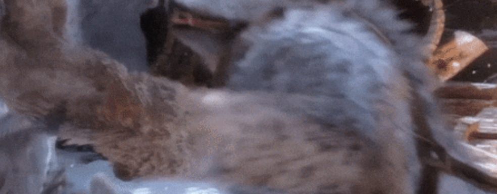 Sony лучший издатель 2022 года на Metacritic, а Microsoft не попала в топ