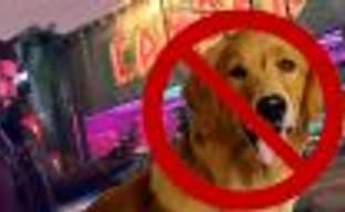 В Watch Dogs: Legion нет собак, и вот почему