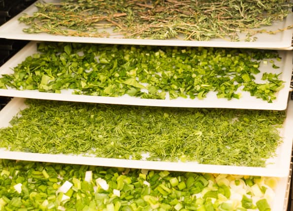 Дегидратор Rawmid DDV-06/07