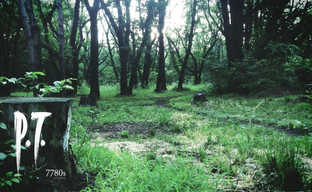 Сотрудница Konami, удалившая тизер Silent Hills P.T., рассказала, а затем скрыла свою историю