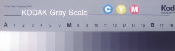 тестовые шкалы