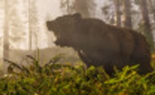 В мире животных Дикого Запада – реалистичное поведение зверей в ролике Red Dead Redemption 2