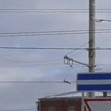 Видеокамера Panasonic HC-WX970