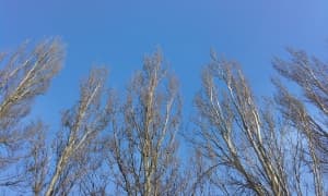 Обзор смартфона Huawei Ascend W1