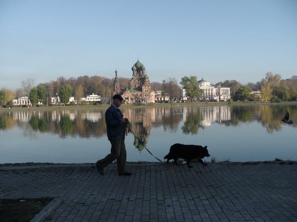 Посмотреть в полном разрешении