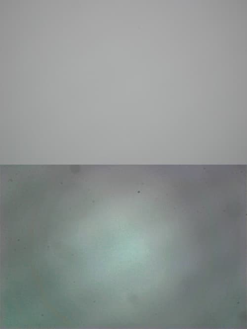 Canon 300D, пыль на матрице