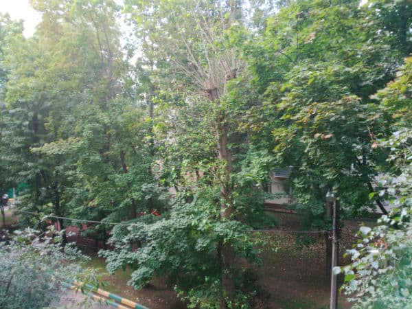 Снимок на тыловую камеру смартфона BlackBerry Q5