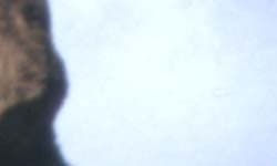 Фрагмент 1:1