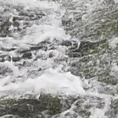 Видеосъемка фотоаппаратом Nikon D500