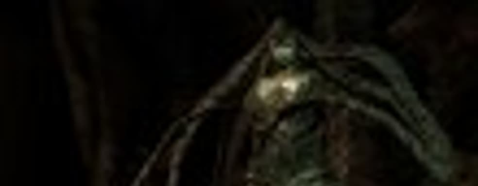 Трейлер StarCraft II: Heart of the Swarm 