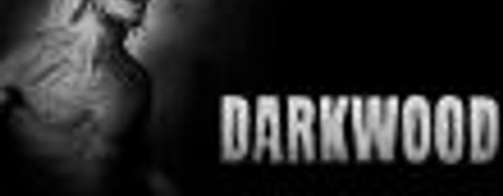 Польский хоррор Darkwood дебютирует на консолях